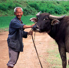 小型飼料顆粒機(jī),農(nóng)民圓夢！